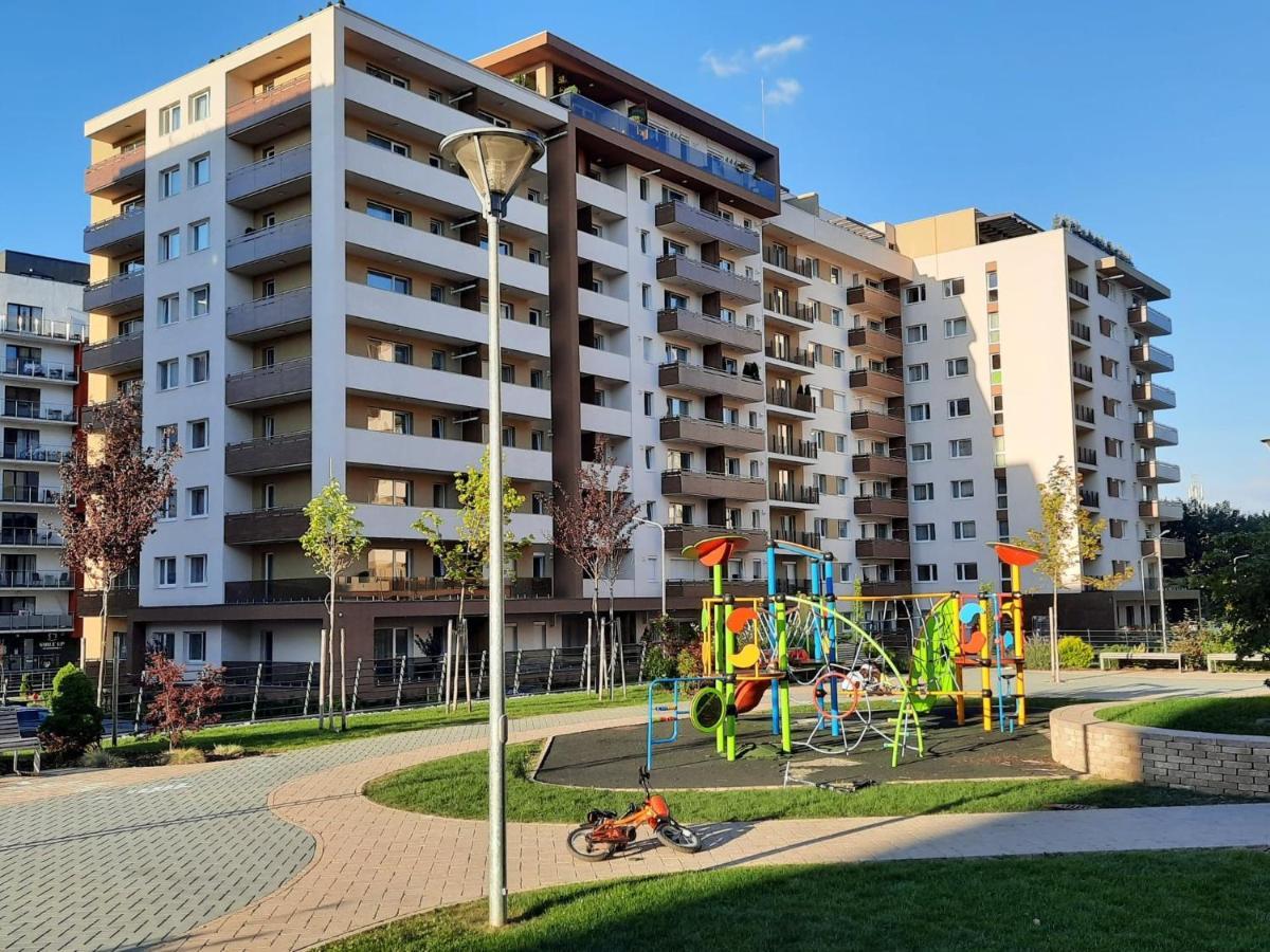 Sorin'S Comfortable Apartment Braşov Exteriör bild