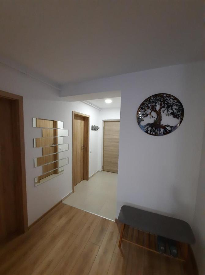 Sorin'S Comfortable Apartment Braşov Exteriör bild